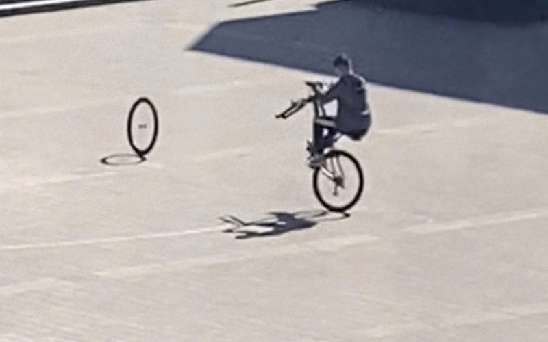 Very Contemporary, CIAP, Alexis Gautier / Riding High in the Reading Saddle
