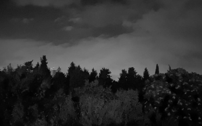 Very Contemporary, NAK Neuer Aachener Kunstverein, Finissage + Screening ”Cruising“ with Nadir Sönmez