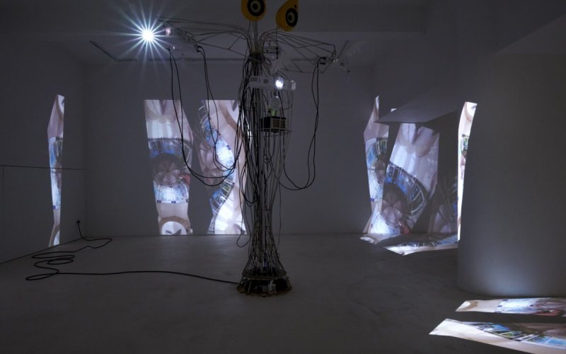 Very Contemporary, Z33, Raphaela Vogel:  De mens is geen vogel