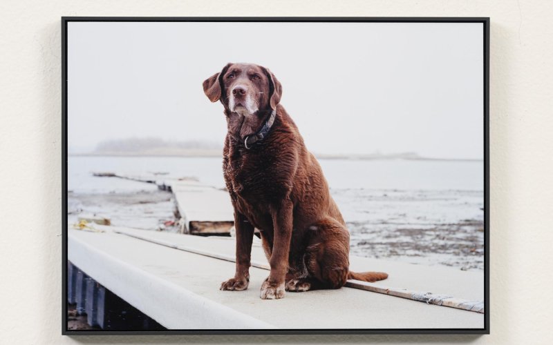 Very Contemporary, SCHUNCK, The selection of Janna Navis