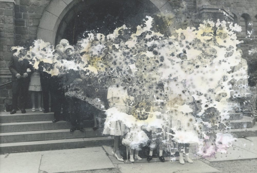 Very Contemporary, 2024 ‣ “Where am I standing” / the What the flag?! Euregio edition at the Neuer Kunstverein Aachen (NAK)