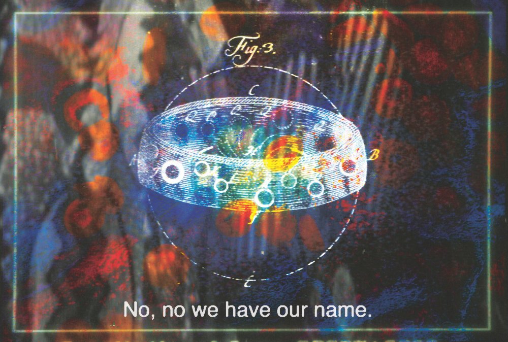 Very Contemporary, 2025 Reading the Region / What the Flag?!